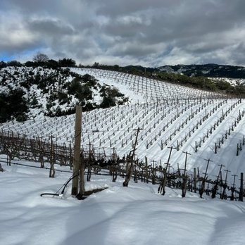 BobDog Winery - Yes, we get snow!! - Wineries Near Me - Cloverdale, California