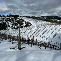 BobDog Winery - Yes, we get snow!!