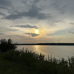 Illiniwek Forest Preserve