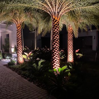 Plantae - Landscape lights - Landscaping Near Me Plantae - Landscape lights - Landscaping Near Me