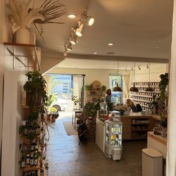 Anima Mundi Apothecary - Apothecary shop