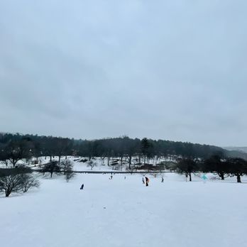Arnold Arboretum - February - A snowy scene at Arnold Arboretum showing people walking across the snow with trees and a hill in the background. - Parks Near Me - Boston, Massachusetts