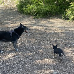 Ferguson Park