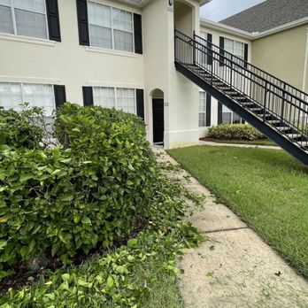 Mower Men - Despues - Landscaping Near Me - Orlando, Florida Mower Men - Despues - Landscaping Near Me - Orlando, Florida