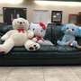 Goodwill Store & Donation Center