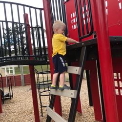 Golden Lake Farm - Climbing the cool ladder