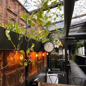 Krasa - a plant hanging from the ceiling - Burgers Near Me - Chicago, Illinois