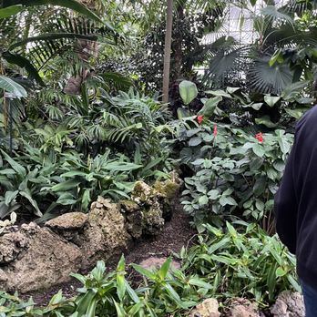 Lincoln Park Conservatory - Parks Near Me - Chicago, Illinois Lincoln Park Conservatory - Parks Near Me - Chicago, Illinois