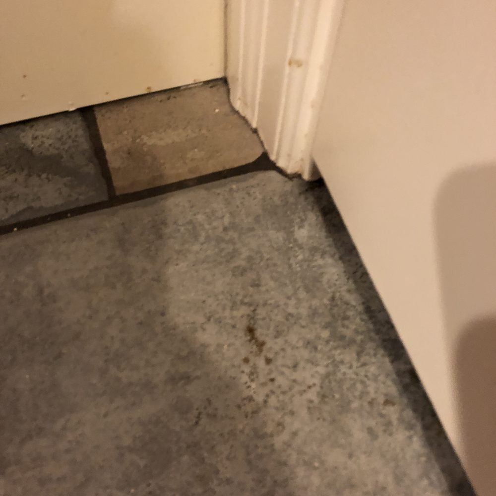 Bumble Bee Cleaning Services - Kitchen floor in front of the pantry - Home Cleaning Near Me - Lynnwood, Washington