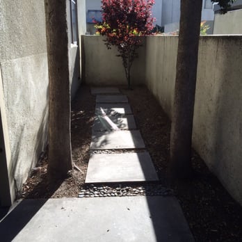 International Tree Service - Before - Tree Services Near Me