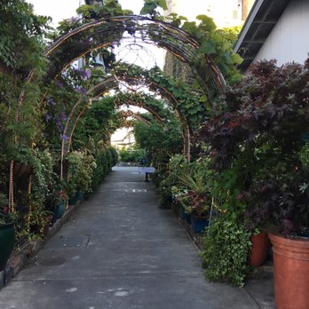 Celadon - Walkway to Celadon, so cute! - Seafood Near Me - Napa, California