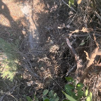 DeSantiago Landscape Services - Cement is the property line. Landscaper went over onto another homeowners property. - Landscaping Near Me DeSantiago Landscape Services - Cement is the property line. Landscaper went over onto another homeowners property. - Landscaping Near Me