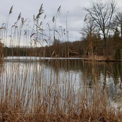 Bärensee Stuttgart
