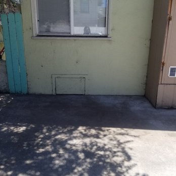 All Clean California - Took the old tree - Junk Removal & Hauling Near Me - Oakland, California