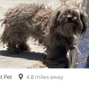 Van Nuys Veterinary Clinic - Veterinarians Near Me - Van Nuys, California Van Nuys Veterinary Clinic - Veterinarians Near Me - Van Nuys, California