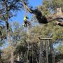Photo of Foothill Sierra Tree Service
