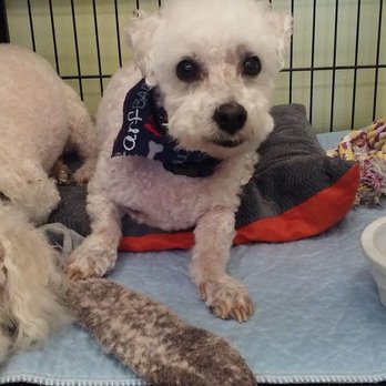 Home Away Pet Spa - Pet Groomers Near Me - Newburgh, Indiana Home Away Pet Spa - Pet Groomers Near Me - Newburgh, Indiana