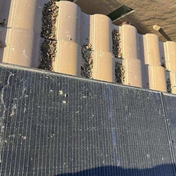 Best Shine - Solar Panel Cleaning Near Me
