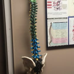 96th Street Chiropractic - Pretty cool display