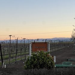 Serendipity Cellars
