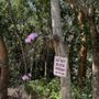 Photo of Coco Plum Place