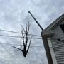 Photo of New England Tree Masters