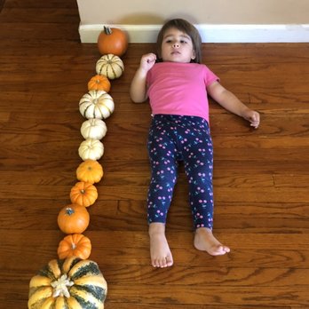Valentina's Preschool - How tall are you in pumpkins? - Preschools Near Me - Los Angeles, California Valentina's Preschool - How tall are you in pumpkins? - Preschools Near Me - Los Angeles, California
