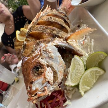 Casablanca - Fried red snapper - Seafood Near Me - Miami, Florida Casablanca - Fried red snapper - Seafood Near Me - Miami, Florida