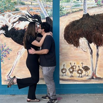 Ostrichland USA - Attraction Farms Near Me - Solvang, California Ostrichland USA - Attraction Farms Near Me - Solvang, California
