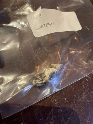 Queen Hippie Gypsy by null