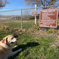 Robertson Park - North Meadow Dog Park