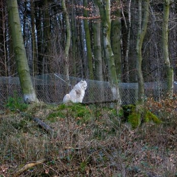 Bilsteintal - Zoos Near Me - Warstein, NW Bilsteintal - Zoos Near Me - Warstein, NW