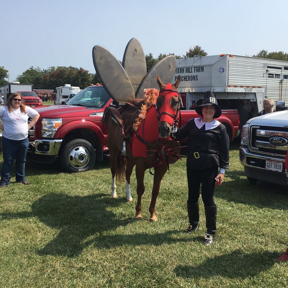 Delaware County Fairgrounds - Horse parade participants   Turkey, really? - Venues & Event Spaces Near Me - Delaware, Ohio