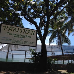 Montemar Beach Club - Turtle conservation area