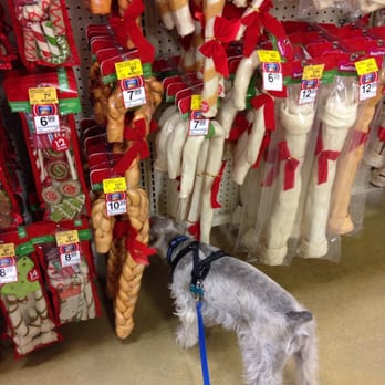 PetSmart - Baxter found his favorite section in the store! - Pet Training Near Me - Wichita, Kansas