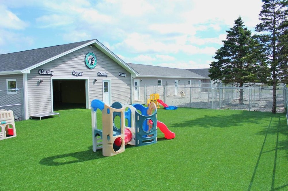 TERRA NOVA KENNELS Updated September 2024 40 Photos 10 Main Road