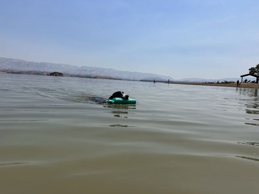 Lake Berryessa by null