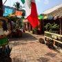 Photo of My Tours Vallarta