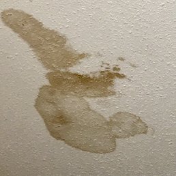 one of several water damaged stains one of several water damaged stains