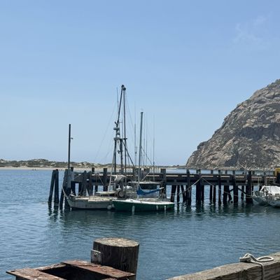 Grassy Bar Oyster Company by null