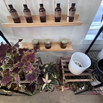Bloomsgiving - Florists Near Me - Mountain View, California