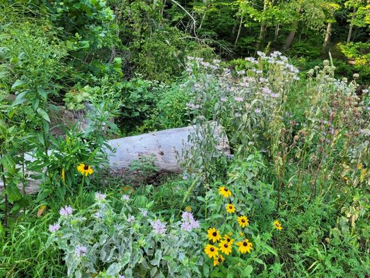 PENN HILLS COMMUNITY PARK - Updated January 2025 - 11 Photos - 120