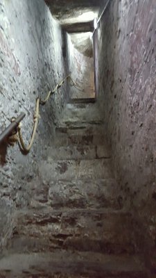 St Anne's Church Shandon Bells & Tower by null