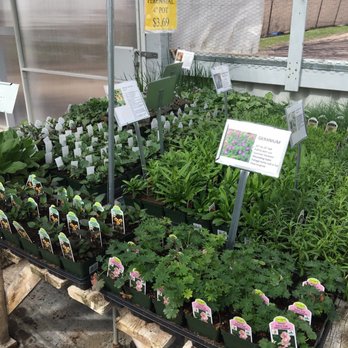 Flower Farm - Nurseries & Gardening Near Me - Great Falls, Montana