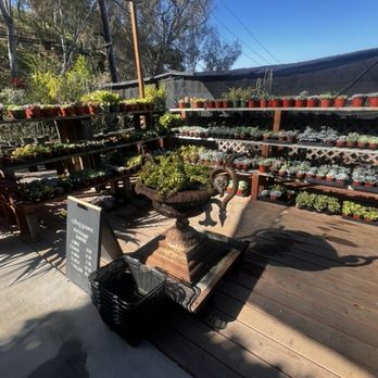 Rolling Greens - Nurseries & Gardening Near Me - Culver City, California Rolling Greens - Nurseries & Gardening Near Me - Culver City, California