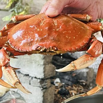 Lawson's Landing - Yet another cooked Dungeness crab - Boating Near Me - Dillon Beach, California