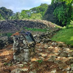 Spiritual Tours Hawaii