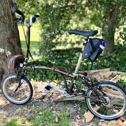 Bikes at Vienna