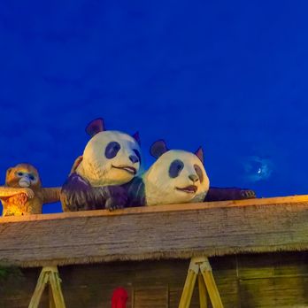 香港海洋公園 - Aquariums Near Me - Hong Kong, HK