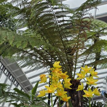 Sky Garden - Landmarks & Historical Buildings Near Me - London, XGL Sky Garden - Landmarks & Historical Buildings Near Me - London, XGL